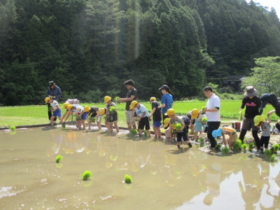 田植え横一列