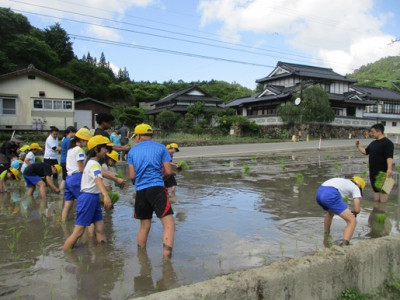 田植え高学年