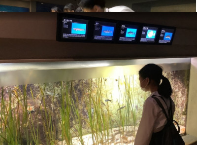 水族館２