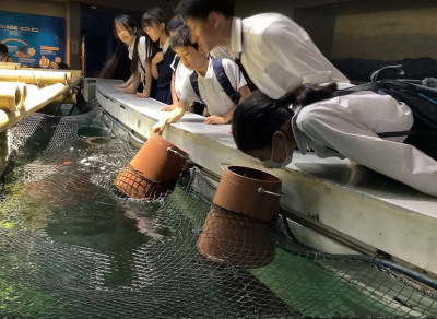 水族館１