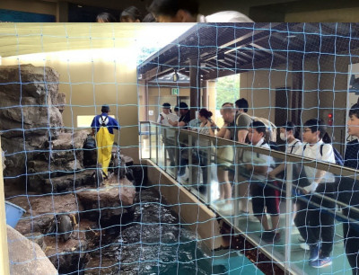 水族館４