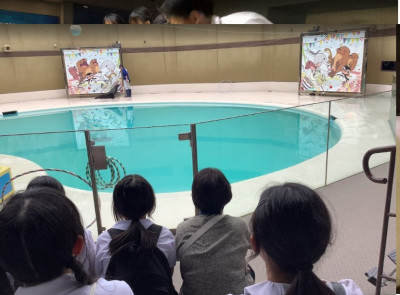 水族館３