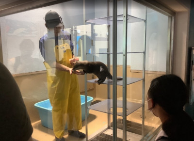 タイトルなし