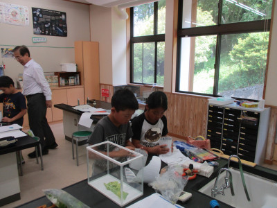 IMG_8645
