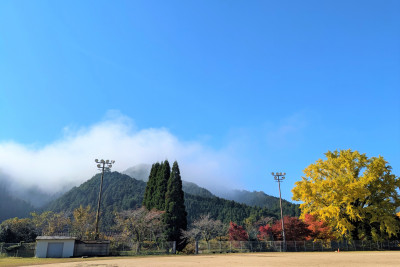 PXL_20251114_010114323