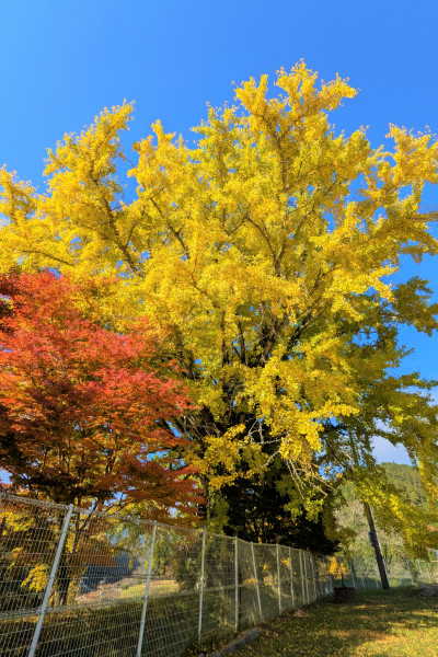 PXL_20251114_005737288